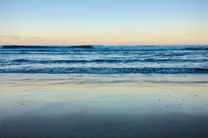 IMG_3638