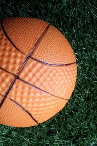basket-19