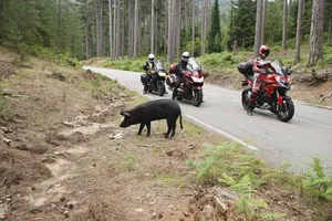 Mountain Bike-20