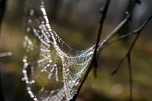 IMG_9859