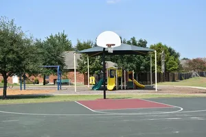 basket-12