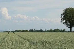 IMG_8052