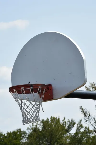 basket-8