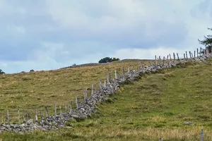 Scherma 1-17