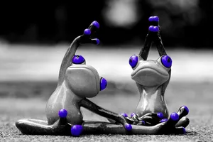 IMG_8448