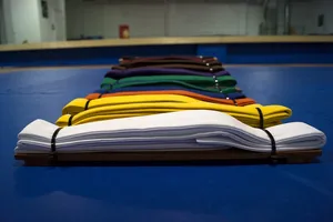 Taekwondo_-7