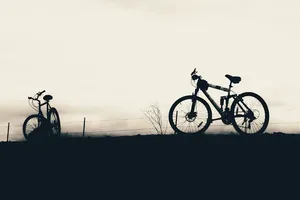 Mountain Bike-24