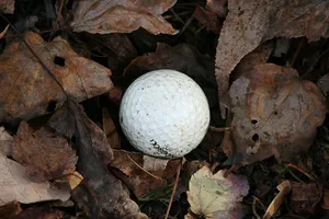 Golf-16