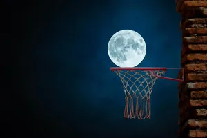 basket-22