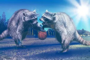 basket-21