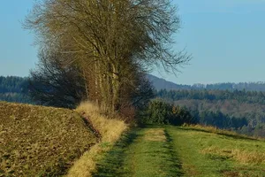 IMG_7892