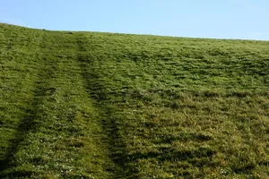IMG_8633