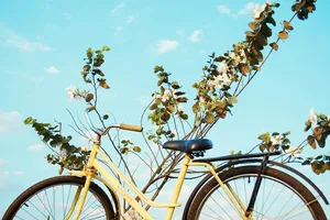 Mountain Bike-4