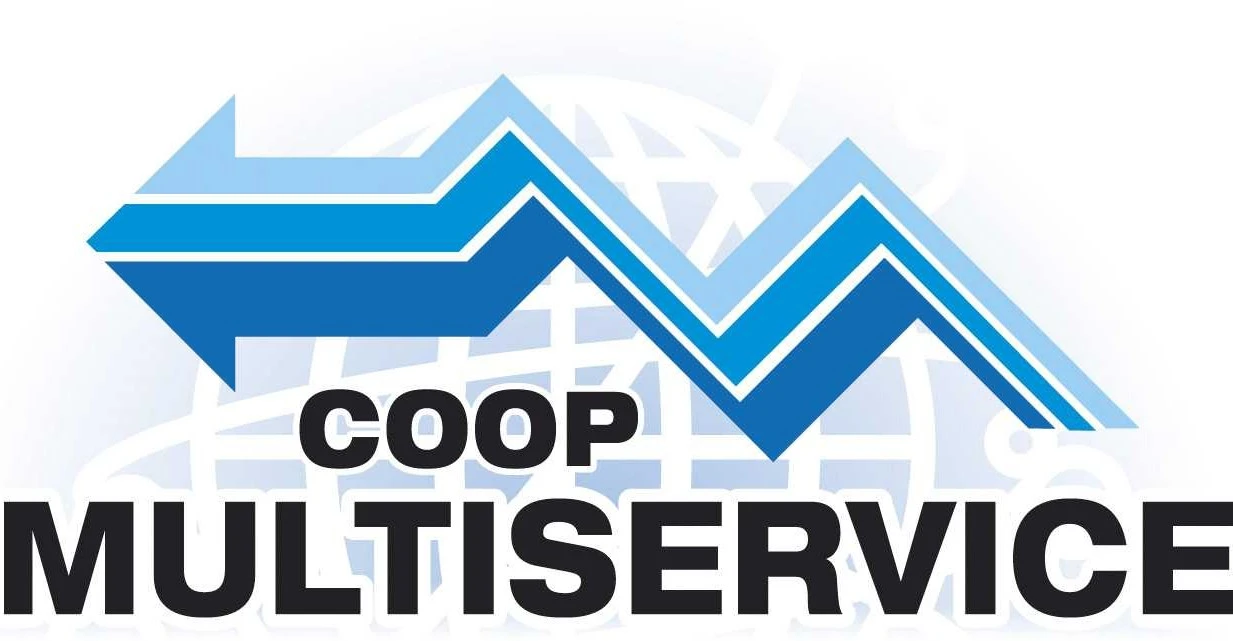 logo multiservice_2005